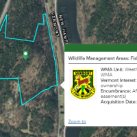 Weathersfield WMA - 80 Acres for hunting Turkeys in Windsor, VT