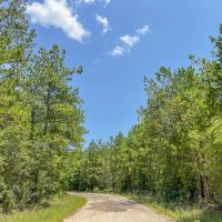 56 Acres CR 364 T-2 images 3