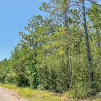 56 Acres CR 364 T-2 images 4
