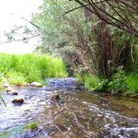 Chavara Ranch images 2