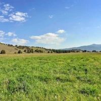 Chavara Ranch images 3
