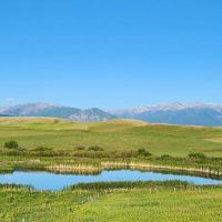 Hogan Creek Retreat images 3