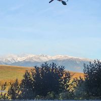 Hogan Creek Retreat images 5