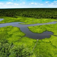 115.1 acres of Waterfront Residential Recreational Land For Sale in Essex County VA images 3