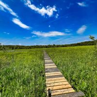 115.1 acres of Waterfront Residential Recreational Land For Sale in Essex County VA images 4