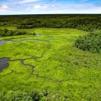 115.1 acres of Waterfront Residential Recreational Land For Sale in Essex County VA images 5