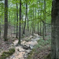 60 - Acres HWY 227