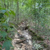 60 - Acres HWY 227 images 2