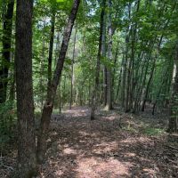 60 - Acres HWY 227 images 3