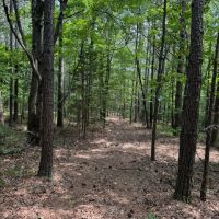 60 - Acres HWY 227 images 4