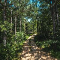 Stall Hollow Tract 8 images 2