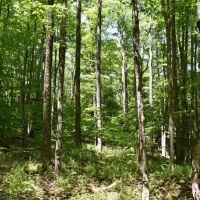 Indian Creek images 3