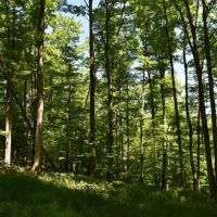 Indian Creek images 4