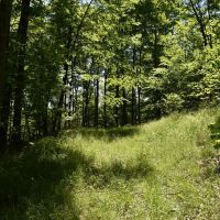 Indian Creek images 5