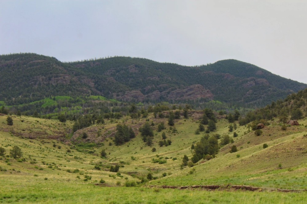 Gold Rush Retreat featured image