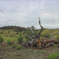 Gold Rush Retreat images 2