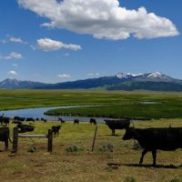 Centennial Ranch images 2