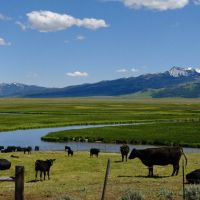 Centennial Ranch images 3