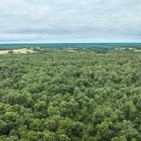 Edgar Springs 116
