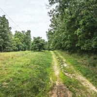 Edgar Springs 116 images 3