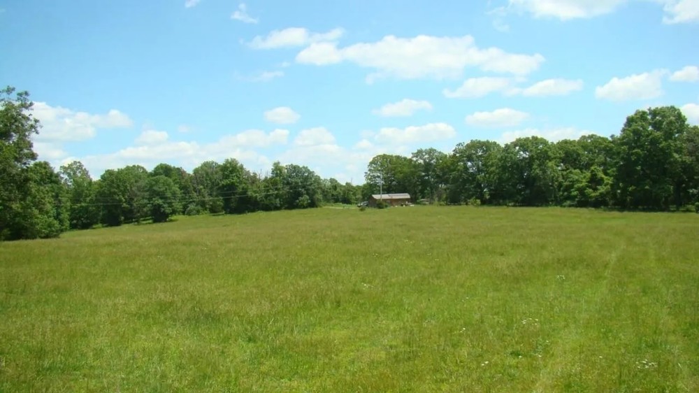 9 Acres Drilled Well Electric Tiny House Close to Rivers Lakes. Howell County featured image