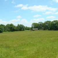 9 Acres Drilled Well Electric Tiny House Close to Rivers Lakes. Howell County
