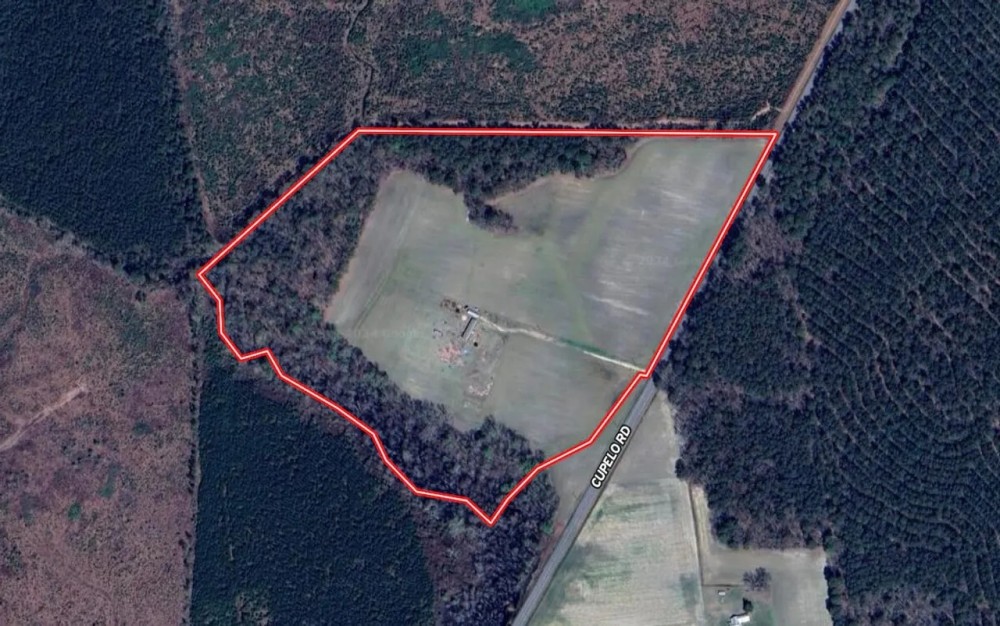 38 Acres of Farm and Timber Land with Mobile Home For Sale in Greene County NC featured image