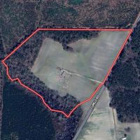 38 Acres of Farm and Timber Land with Mobile Home For Sale in Greene County NC