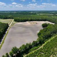 38 Acres of Farm and Timber Land with Mobile Home For Sale in Greene County NC images 4