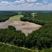 38 Acres of Farm and Timber Land with Mobile Home For Sale in Greene County NC images 5