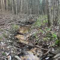SOLD 38 acres in Perry County AL images 2