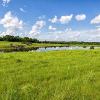 3147 FM 956 in Schulenburg images 5