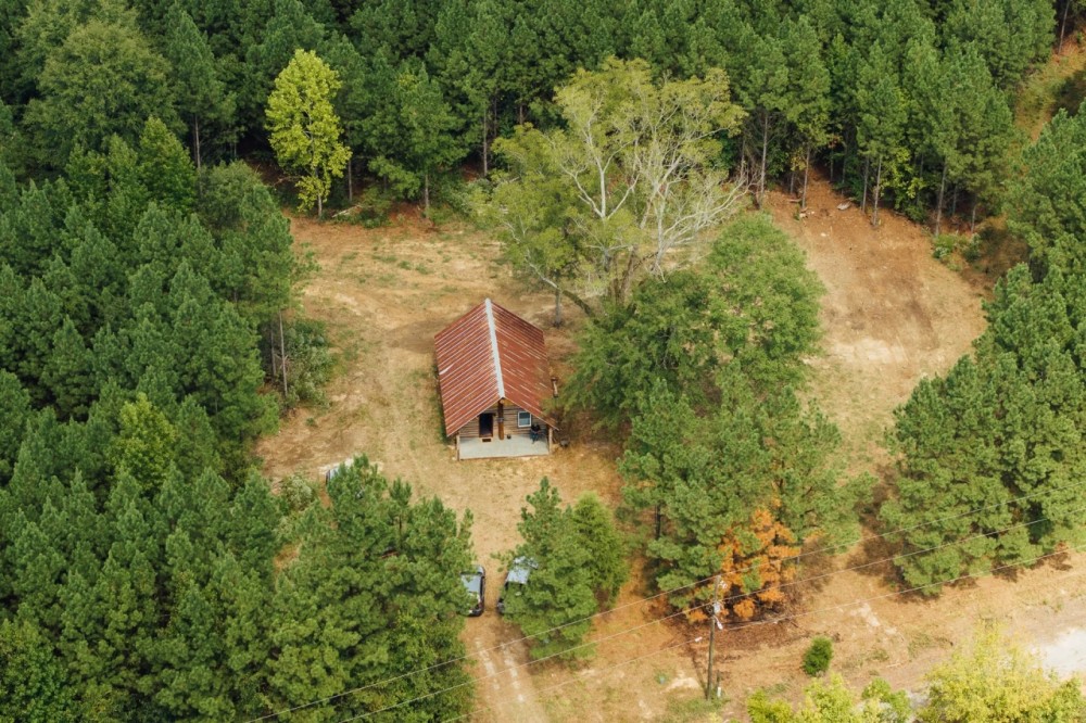 106 Acres with a Cabin in Lamar County Alabama featured image