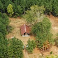 106 Acres with a Cabin in Lamar County Alabama