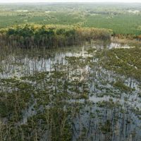 106 Acres with a Cabin in Lamar County Alabama images 3