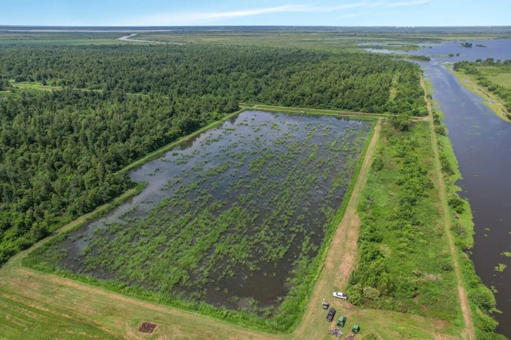 593 Acres of Big Deer Ducks in South Louisiana featured image