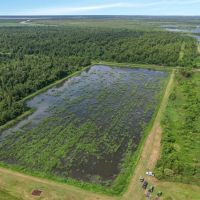 593 Acres of Big Deer Ducks in South Louisiana