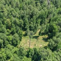 593 Acres of Big Deer Ducks in South Louisiana images 2