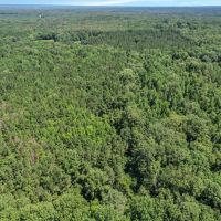 593 Acres of Big Deer Ducks in South Louisiana images 3