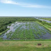 593 Acres of Big Deer Ducks in South Louisiana images 5