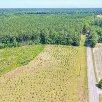 25.4 acres of Residential and Hunting Land For Sale in Sussex County VA images 4