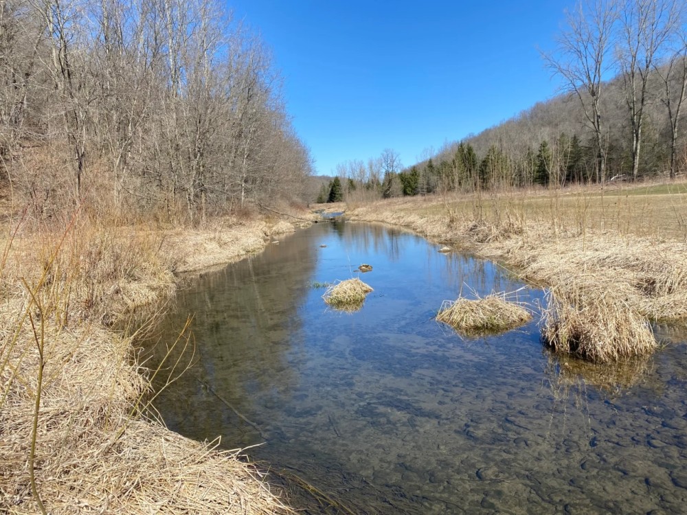 Class 1 Trout Stream on 53 - Acres Vernon County featured image