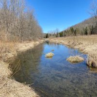 Class 1 Trout Stream on 53 - Acres Vernon County