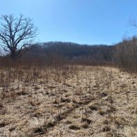 Class 1 Trout Stream on 53 - Acres Vernon County images 2