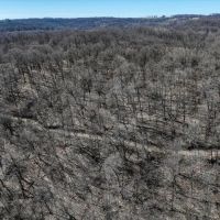 Class 1 Trout Stream on 53 - Acres Vernon County images 3