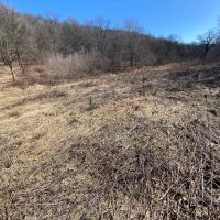 Class 1 Trout Stream on 53 - Acres Vernon County images 5