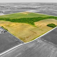 Itasca Tract 2 11 Acres Only 15K Down images 4