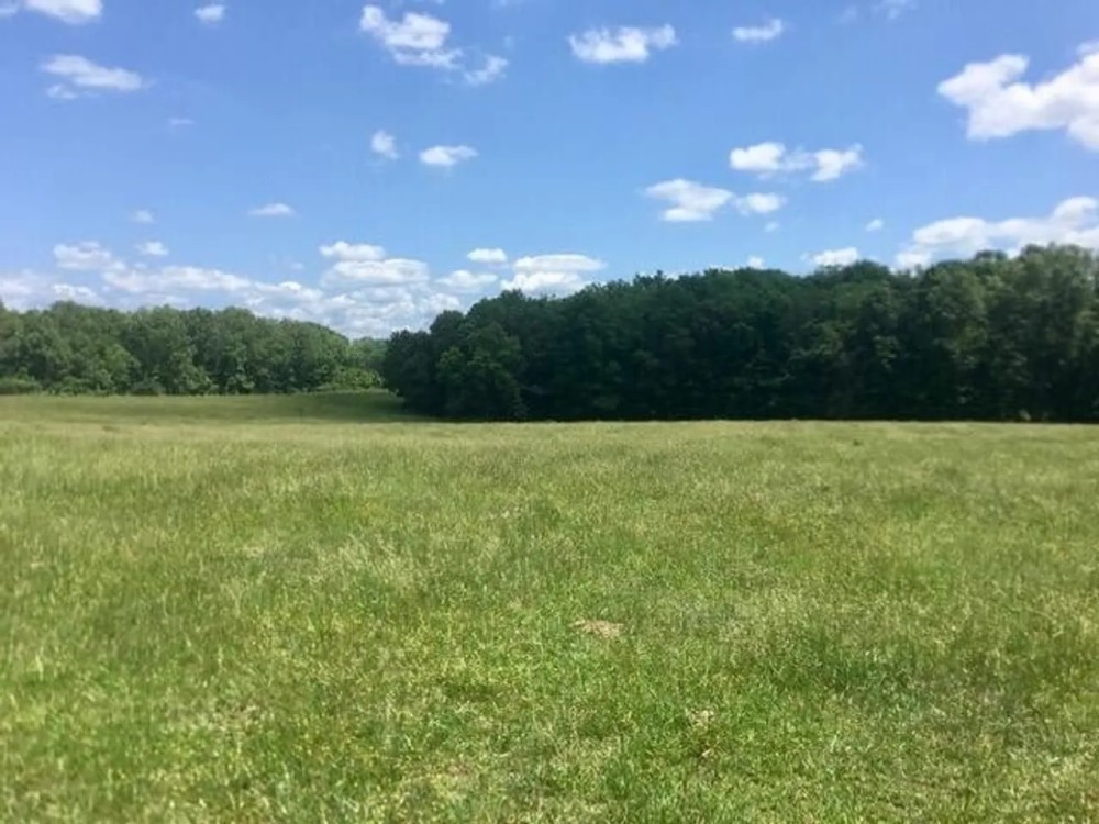 39 Acres Paved Road Frontage Ponds Electric Fenced Cross Fenced featured image