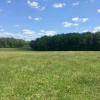 39 Acres Paved Road Frontage Ponds Electric Fenced Cross Fenced