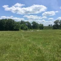 39 Acres Paved Road Frontage Ponds Electric Fenced Cross Fenced images 2